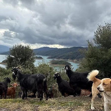 Petrastero Mountain Retreat-agrafa Evrytania Greece